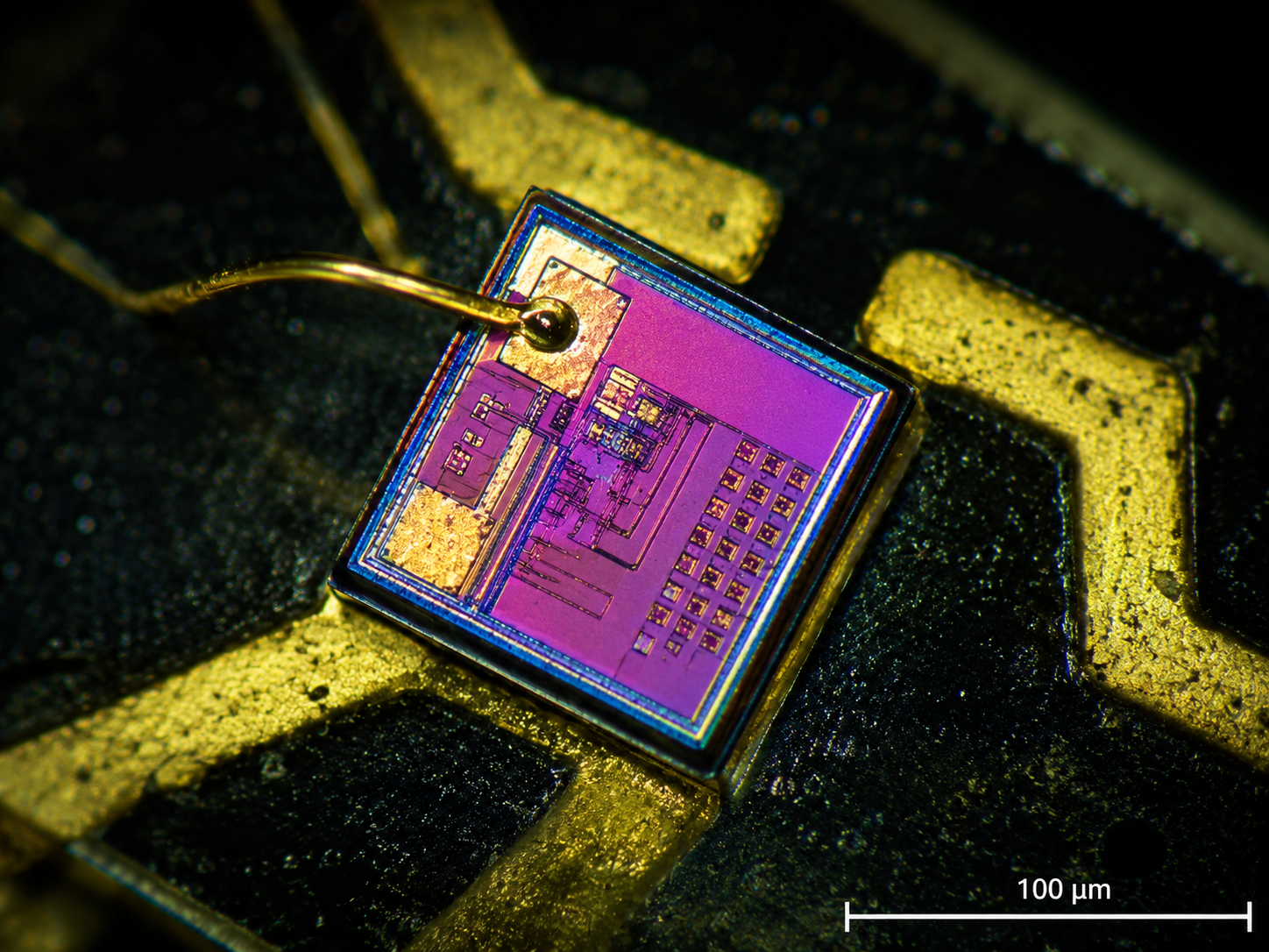 Macro view of a photonic semiconductor die with a gold wire bond, shown at 100 micron scale under an inspection microscope